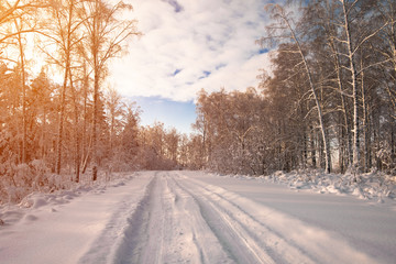 Winter landscape at sunset or sunrise. Forest road between trees covered with fresh white snow. Imprint of the wheels in the snow.