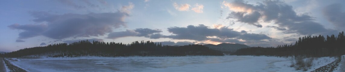 Obraz premium forest