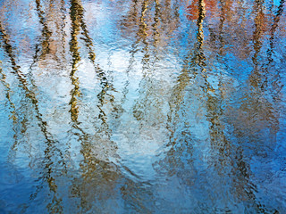 Rippled Water Surface with Trees Reflection
