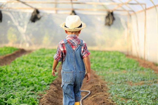 An Asian boy is walking around looking at vegetable plots in an organic greenhouse.