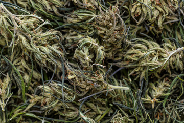 Background of flower buds cannabis, marijuana, weed top view copy spase close up,CBD Macro a cannabis flower and marijuana macro