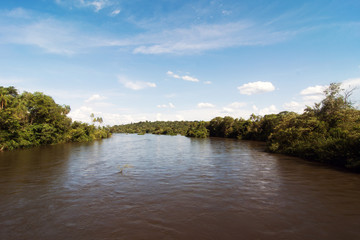 Iguazu River at Iguazu National Park in Misiones, Argentina