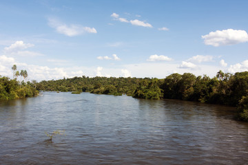 Iguazu River at Iguazu National Park in Misiones, Argentina