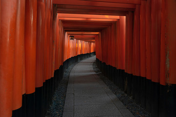 Red Torii gates at Fushimi Inari Shrine in Kyoto, Japan