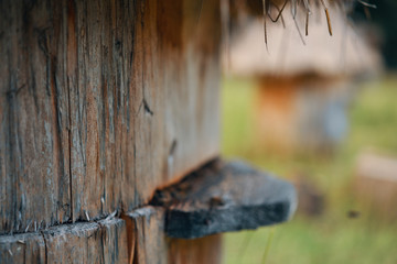 old rusty fence