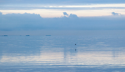 Obraz na płótnie Canvas Quiet sea in the morning 
