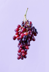 Grapes on a light purple background