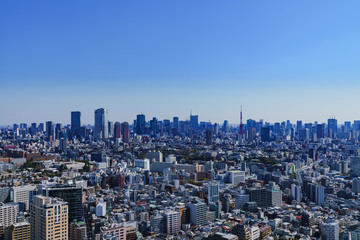 都市風景　東京　関東　日本　パノラマ　ハイアングル　鳥瞰図　快晴　青空　都市　ビジネス　不動産　首都