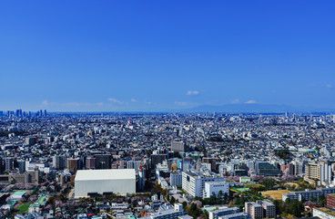 Fototapeta premium 都市風景 東京 関東 日本 パノラマ ハイアングル 鳥瞰図 快晴 青空 都市 ビジネス 不動産 首都
