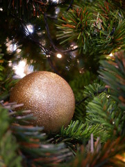 Close up Christmas bubble balls on Christmas tree  Holiday,festival concept