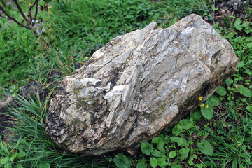 Forma di pietra nell'erba