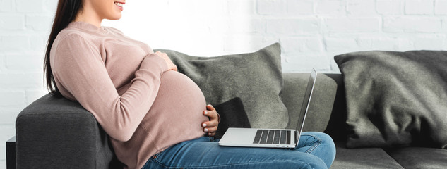 panoramic shot of smiling pregnant woman having online consultation with doctor on laptop at home