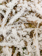 Frost crystals on dry autumn grass