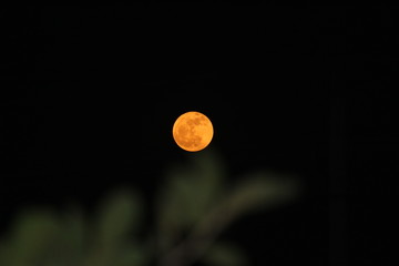 Full moon