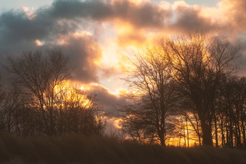 Obraz premium Bäume an einem Ostseestand im Winter mit Wolken bei Sturm