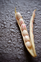 Red speckled white kidney bean