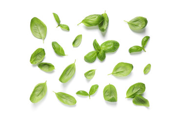 Fresh green basil leaves on white background, top view