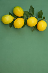 Juicy lemons on a branch with leaves on a green background. Organic fruits for a healthy diet. With copy space for text. Flat lay. Top view. 