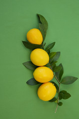 Juicy lemons on a branch with leaves on a green background. Organic fruits for a healthy diet. With copy space for text. Flat lay. Top view. Vertical photo.