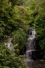 Naklejka na ściany i meble Waterfall in forest