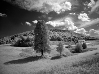 infrared