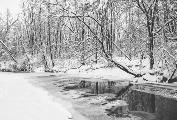 A fresh winter snowfall in Marott Park in Indianapolis, Indiana.