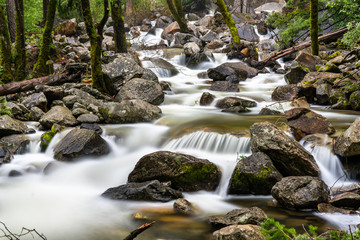 Bridalveil Creek in Yosemite Valley, California