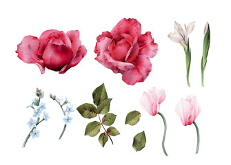 Roses. Flowers and leaves, can be used as greeting card, invitation card for wedding, birthday and other holiday and  summer background. Bouquet of flowers, watercolor illustration