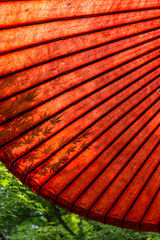 傘にもみじのシルエット