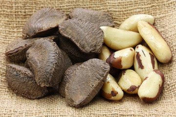 brazil nut, in shell ,and shell removal