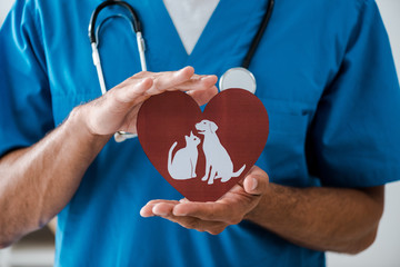 partial view of veterinarian showing paper cut heart with dog and cat symbols, panoramic shot