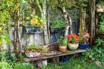 Fotobehang Bench with colourful flowerpots between the birches fence © Steppeland