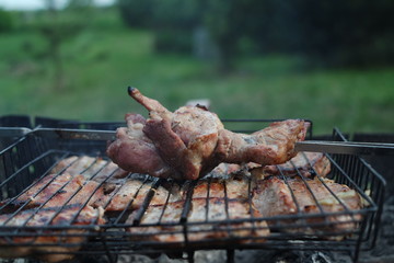 SAMSUNG CAMERA PICTURES