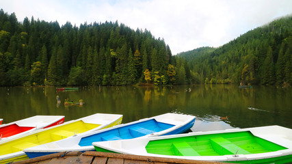 Lacu Rosu, Red Lake, Carpathian Mountains, Moldavia Region, Romania