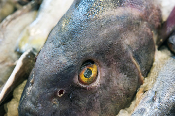 Salmon on sale at a fish stall