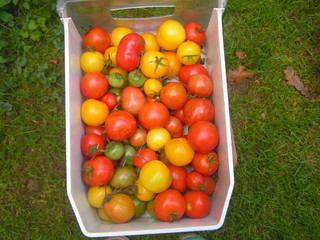 KONICA MINOLTA DIGITAL CAMERA