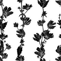 Vector hand drawn floral seamless pattern with black flowers Chicory, branches, leaves on white background. For your design, textile, wallpapers, print, greeting. Vintage style. Stock illustration.