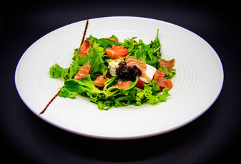 Salmon salad on black background