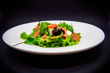 Salmon salad on black background