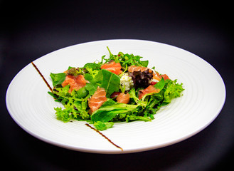 Salmon salad on black background