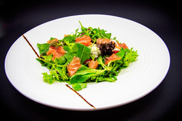 Salmon salad on black background