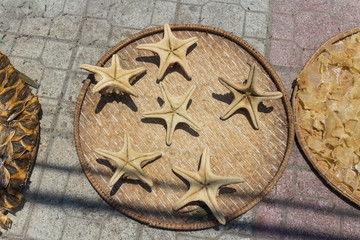 dried starfish laid out on a plate in the sun