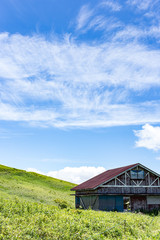 Obraz premium 高原の風景