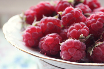 fresh raspberries in a bowl