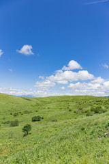 Obraz premium 高原の風景