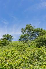 高原の風景