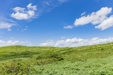Obraz premium 高原の風景