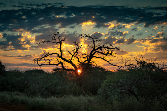 South Africa Sunset Limpopo Province