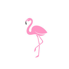 Naklejka premium Pink flamingo. Logo 