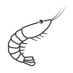 Shrimp Icon. Linear execution. Simple isolated vector on a white background.